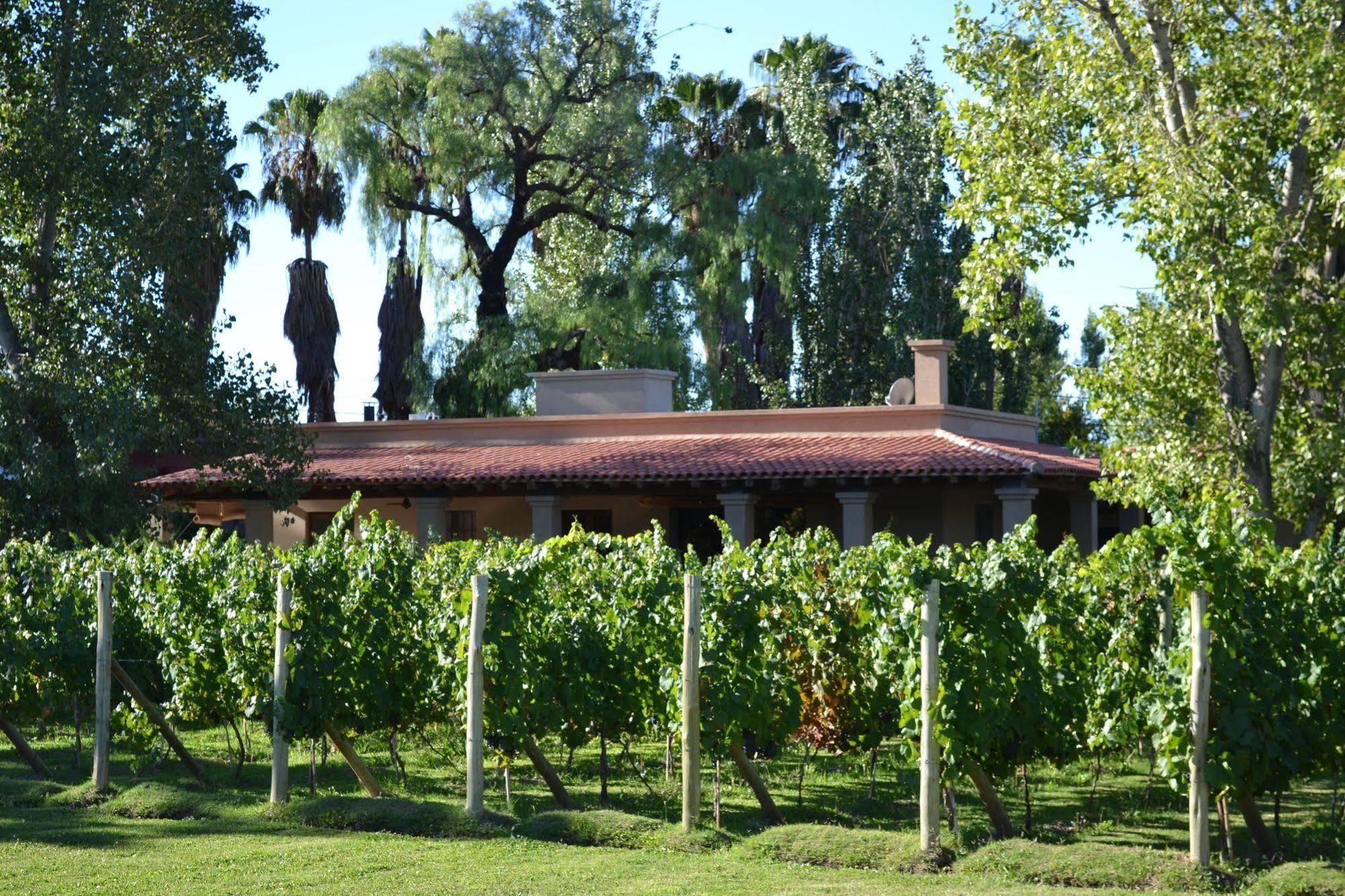 Posada Verde Oliva Maipu  Exterior photo